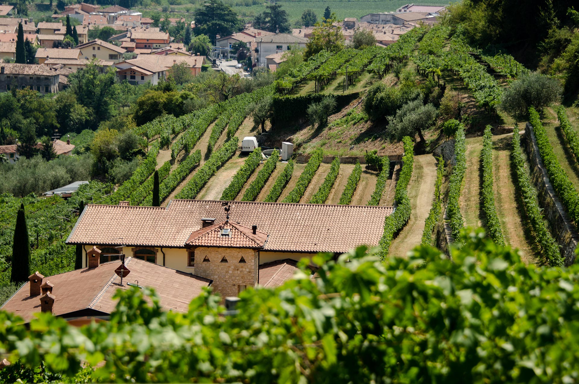 Ca' La Bionda, Valpolicella