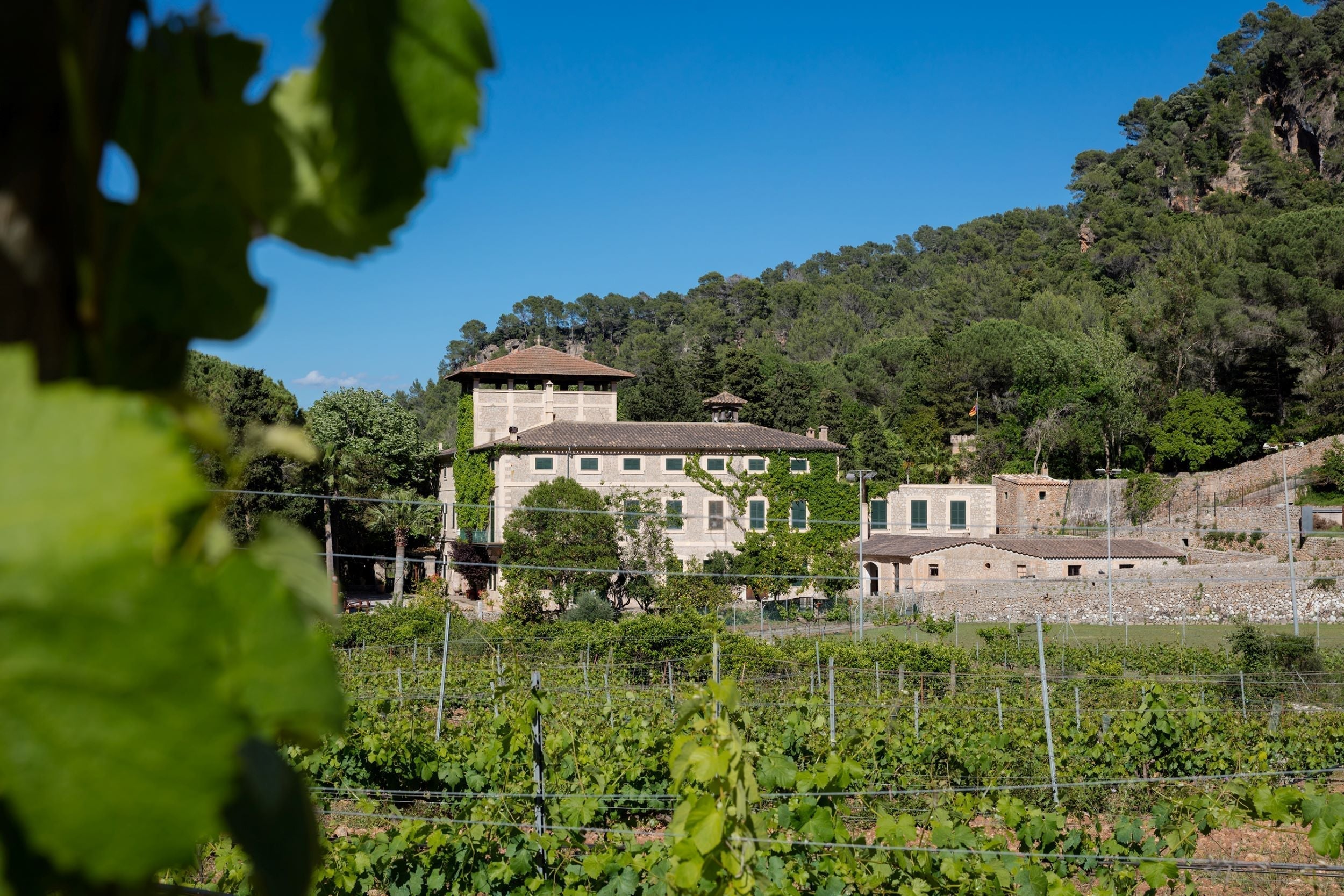 Bodega Son Vich, Mallorca