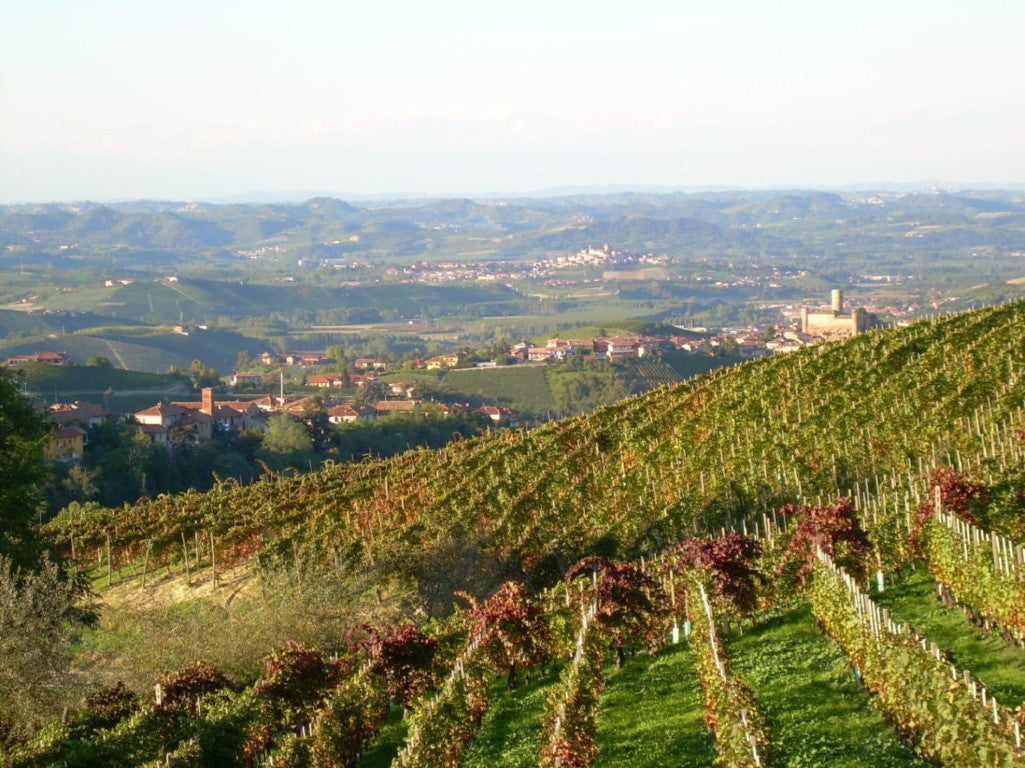 Giovanni Manzone, Piemonte