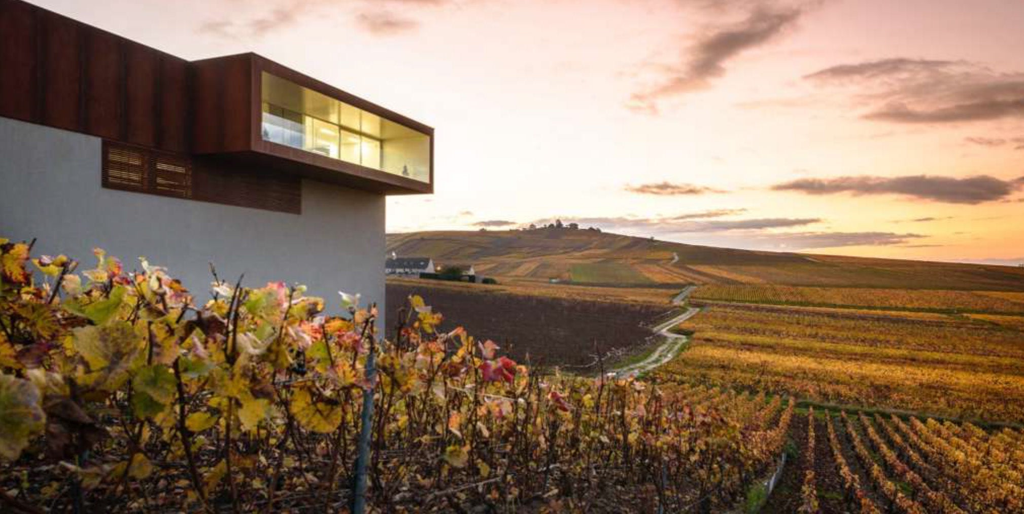 Champagnehuset Virginie T.